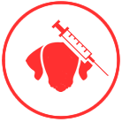 icon_leistungen